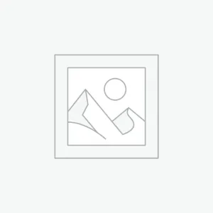 Data Analysis Services